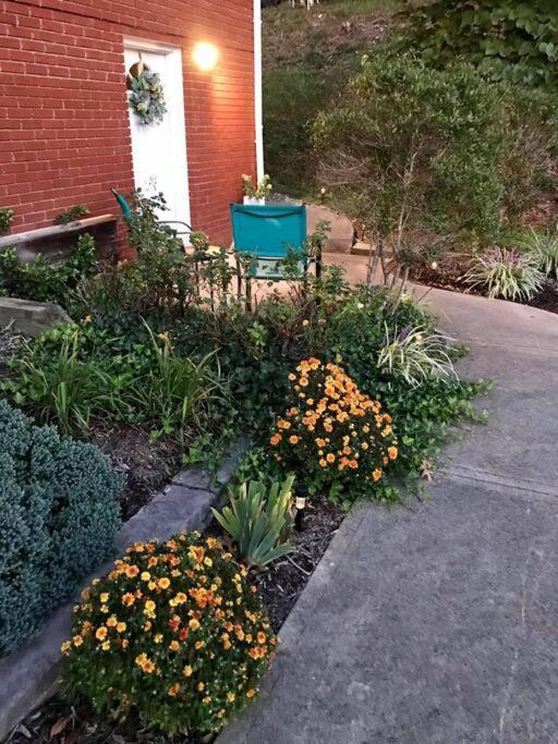 Hilltop Hideaway - 3Bdr In Downtown London, Ky Esterno foto