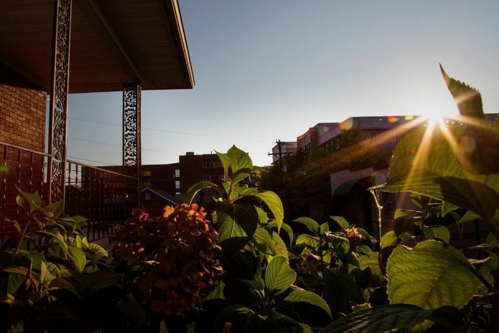 Hilltop Hideaway - 3Bdr In Downtown London, Ky Esterno foto